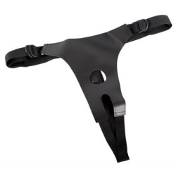 Oprsnica s pisanim penisom