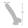 Dildo de silicona mèdica 24 cm
