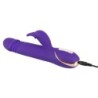 Iepure Patinator Violet
