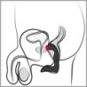 Wiederaufladbarer Prostata-Plug Rebel