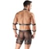 Harness and Jockstrap XL
