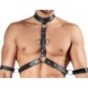 Harness and Jockstrap XL