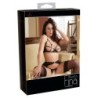 Conjunto de correas decorativas XL