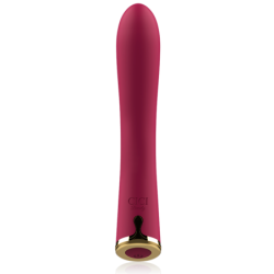 Vibrador Premium de Silicona Amunt i Avall