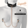 Fantasy Collar com Clipes de Mamilo com Forro de Neoprene