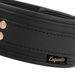 Fantasy Collar Vegānā Āda Ar Siksnu Un Neoprēna Oderi