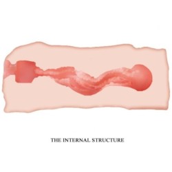 Jane Masturbatore Vagina 13.5 Cm