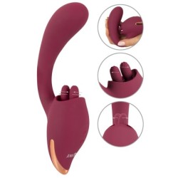 Javida 2 Func. Vibro et Lècheuse
