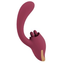 Javida 2 Func. Vibro et Lècheuse