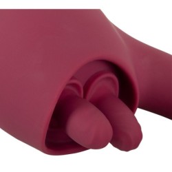 Javida 2 Funk. Vibrator och Slickare