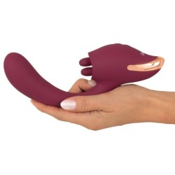 Javida 2 Func. Vibro et Lècheuse