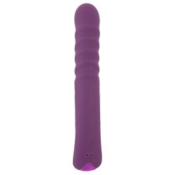 2 F. Iepuraș Vibrator cu Împingere