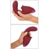 Javida 3 Thrusting Functions