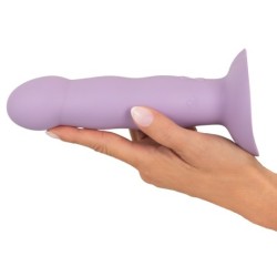 Lilla südametega poissvibrator