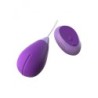 Attālināts Kegel Excite-Her Purple