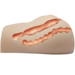 Vagina und Anus Realistisch mit Vibration Position 7