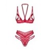Cupide Desir 2-Pcs Conjunto Sem Virilha L/Xl