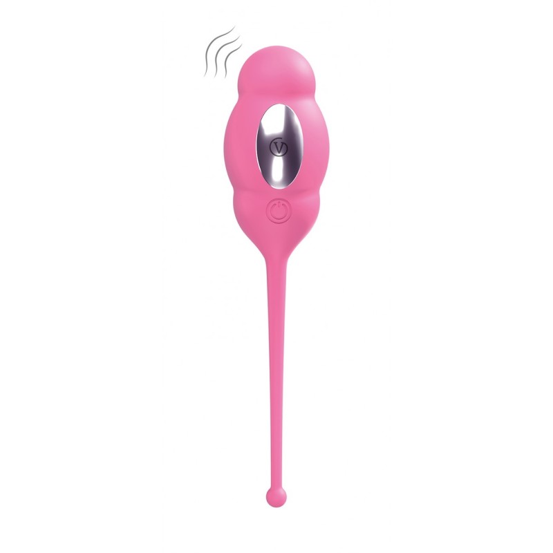 A3 Remote Controlled Egg