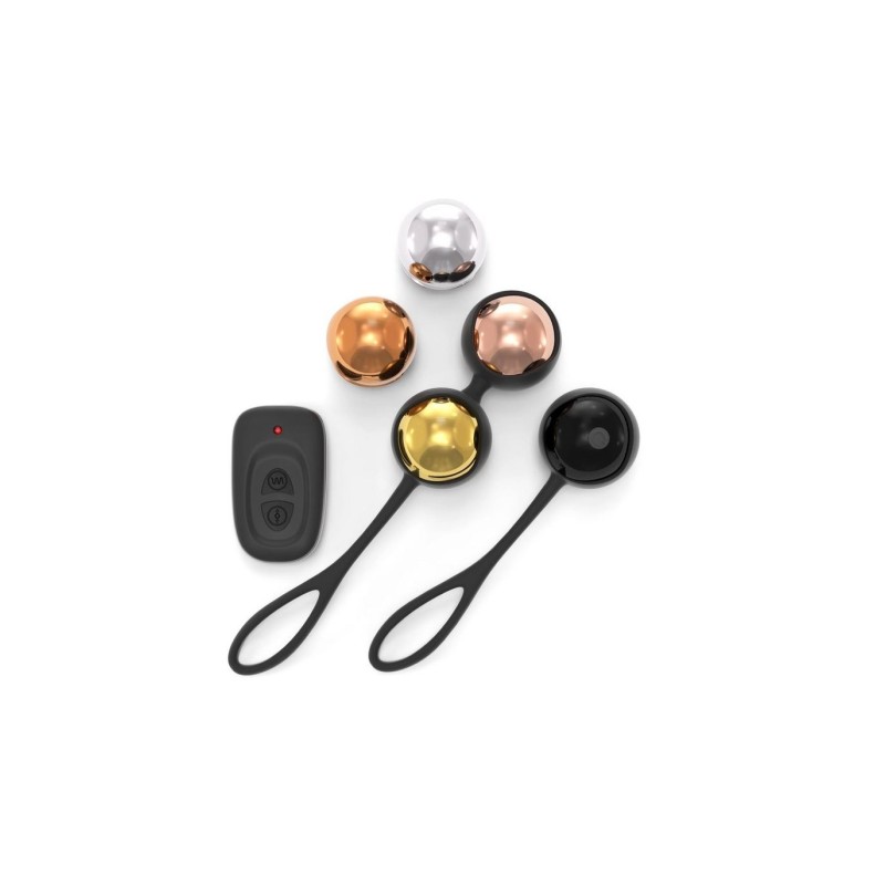Training Balls Set W/ Rechargeable Remote