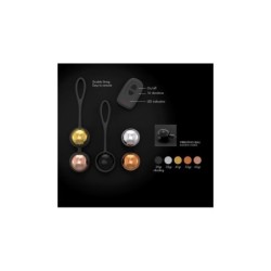 Training Balls Set W/ Rechargeable Remote