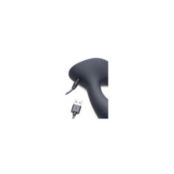 Prostatic In-and-Out Pulsating USB Stimulator with Remote Control