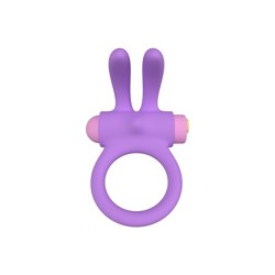 Vibracinis Žiedas Riny Su Valdikliu Silikoninis Violetinis Usb