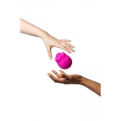 Romp Ruža za usisavanje