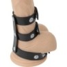 Anell Doble Penis i Testicles Ajustable Leather