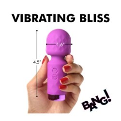 Mini Masajor Tip Baghetă Reîncărcabil Silicon Violet
