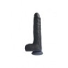 Vibromasseur réaliste Up & Down R13" Noir 20Cm avec télécommande