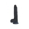 Vibromasseur réaliste Up & Down R14" Noir 23Cm Avec Télécommande