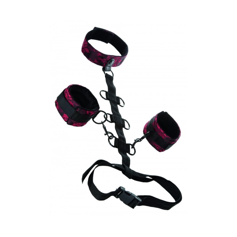 Körperfesselung Halsband Body Restraint