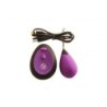Oeuf C/ Télécommande G1 Rechargeable Violet