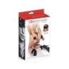 Algemas em Cruz com Hogtie