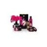 Shunga Touch Of Romance komplekts