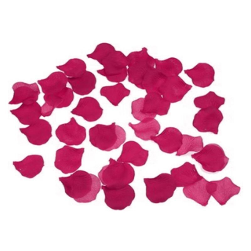 100 Pétales Fuchsia