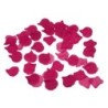 100 Pétales Fuchsia