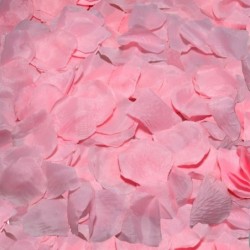100 Розови Листенца
