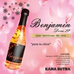 Benjamim Dore Para Sua Garota