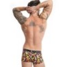 Bananen-Boxer L
