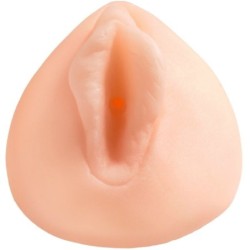 Studentenvereniging Vagina