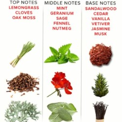 Eol Parfum Feromoni 10 Ml - Romantično