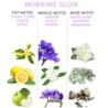 Eol Phr Perfume Pheromone Deluxe 50 ml - Morning Glow