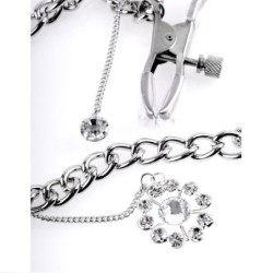 Brustwarzenklemmen mit Kette Kleeblatt