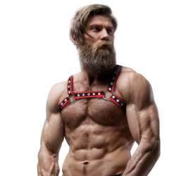 Bulldog öko-nahast meeste rinna rakmed, must/punane