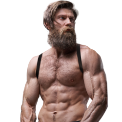 Harnais Similicuir Dos Homme