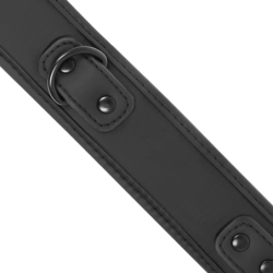 Coleira Com Corrente Com Forro De Neoprene