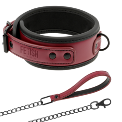 Coleira Com Corrente Com Forro De Neoprene