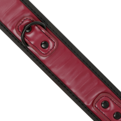 Halsband mit Kette mit Neoprenfutter