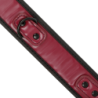 Coleira Com Corrente Com Forro De Neoprene